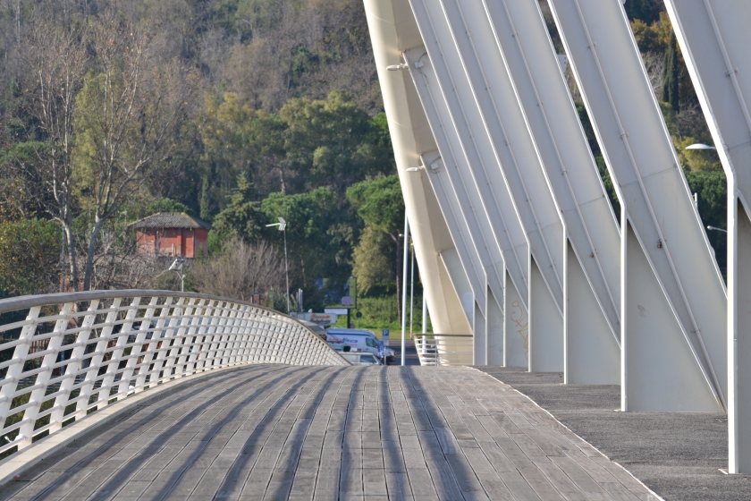 Particolare del Ponte della Musica dic2014