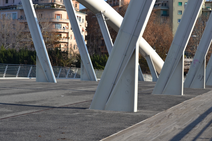 particolare del Ponte della Musica dic2014